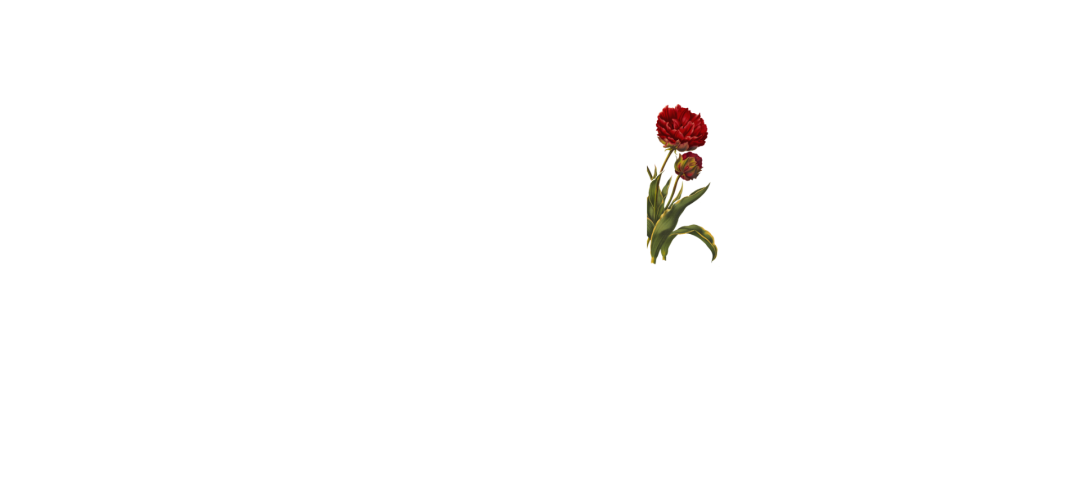 Red and Cream Classic Makeup Artist Presentation (5)